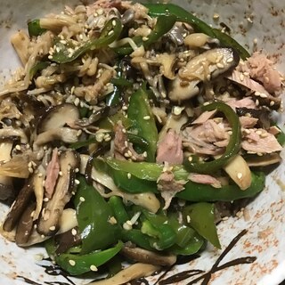 色々キノコとピーマンの胡麻油炒めシーチキン和え